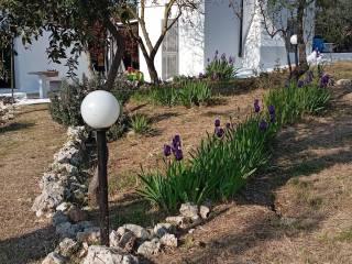Villa bifamiliare Contrada Lezzi 131, Noci — foto 25 di 28