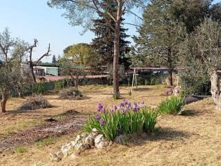Villa bifamiliare Contrada Lezzi 131, Noci — foto 4 di 28