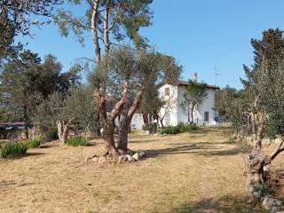 Villa bifamiliare Contrada Lezzi 131, Noci — foto 10 di 28