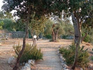 Villa bifamiliare Contrada Lezzi 131, Noci — foto 6 di 28