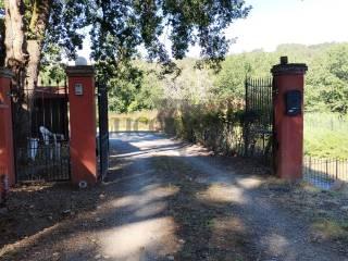 Rustico via Pesciatina 852, Gragnano - Lappato, Capannori — foto 12 di 22