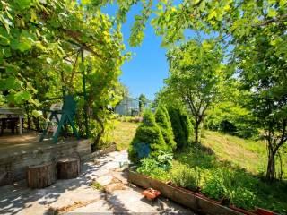 Terratetto unifamiliare Sp512, Donato — foto 25 di 47