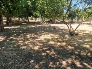 Villa unifamiliare, buono stato, 220 m², San Bartolomeo, Montoro — foto 28 di 31
