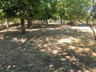 Villa unifamiliare, buono stato, 220 m², San Bartolomeo, Montoro