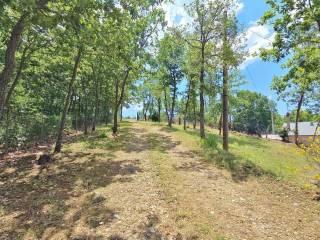 Villa unifamiliare Contrada Vallegrande, Sant'Angelo dei Lombardi — foto 22 di 24
