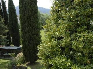 Casale via di Pattana, Pontetetto - Sorbano del Giudice, Lucca — foto 11 di 20