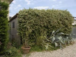 Casale via di Pattana, Pontetetto - Sorbano del Giudice, Lucca — foto 15 di 20