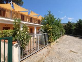 Quadrilocale Località Vallena 10, Centola — foto 13 di 15