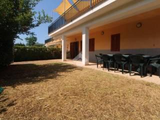 Quadrilocale Località Vallena 10, Centola — foto 8 di 15