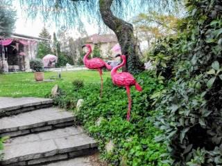 Villa unifamiliare via IV Novembre 49, Centro, Lessona — foto 9 di 31