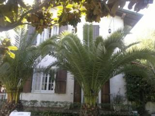 Villa a schiera via Bregoscia,  29, Marina Verde, Renella, Montignoso — foto 15 di 22