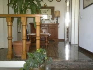 Villa a schiera via Bregoscia,  29, Marina Verde, Renella, Montignoso — foto 17 di 22