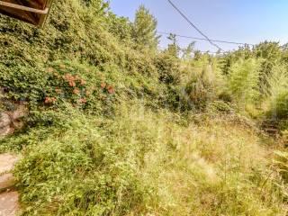 Villa unifamiliare frazione Foglia 5, Maglione-crosa, Vallanzengo — foto 52 di 52