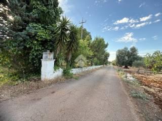 Rustico Contrada Natalicchio, Ceglie Messapica — foto 22 di 39
