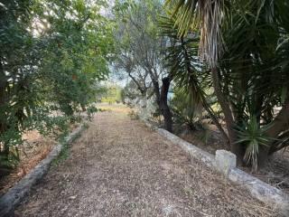 Rustico Contrada Natalicchio, Ceglie Messapica — foto 15 di 39