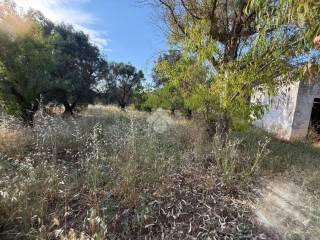Rustico Contrada Natalicchio, Ceglie Messapica — foto 30 di 39