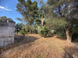 Rustico Contrada Natalicchio, Ceglie Messapica — foto 3 di 39
