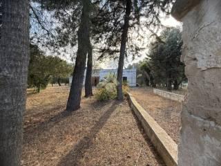 Rustico Contrada Natalicchio, Ceglie Messapica — foto 5 di 39