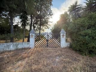Rustico Contrada Natalicchio, Ceglie Messapica — foto 27 di 39