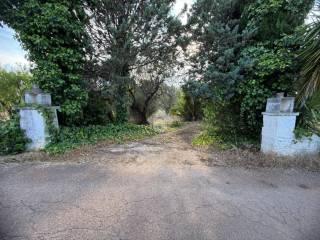 Rustico Contrada Natalicchio, Ceglie Messapica — foto 23 di 39