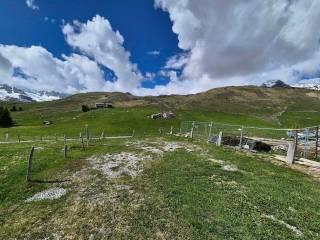 Terratetto unifamiliare 100 m², buono stato, Madesimo — foto 29 di 32
