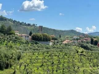 Villa unifamiliare 180 m², Pieve a Elici, Montigiano, Gualdo, Massarosa — foto 11 di 83