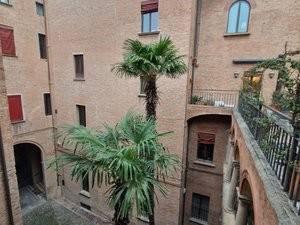 Mansarda via Santo Stefano 34, Centro Storico, Bologna — foto 5 di 29