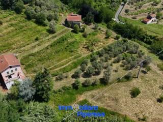 Villa unifamiliare Località Piano di Madrignano, Piano Di Madrignano, Calice al Cornoviglio — foto 27 di 85