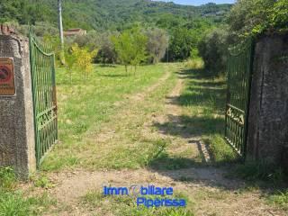 Villa unifamiliare Località Piano di Madrignano, Piano Di Madrignano, Calice al Cornoviglio — foto 33 di 85