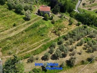 Villa unifamiliare Località Piano di Madrignano, Piano Di Madrignano, Calice al Cornoviglio — foto 16 di 85