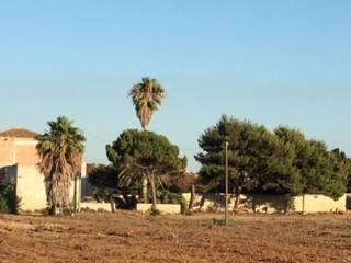 Rustico Contrada Birgi, Stagnone, Marsala — foto 7 di 19