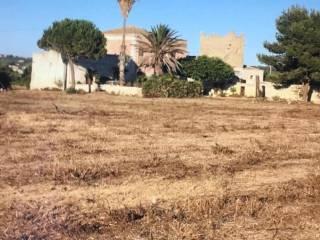 Rustico Contrada Birgi, Stagnone, Marsala — foto 3 di 19