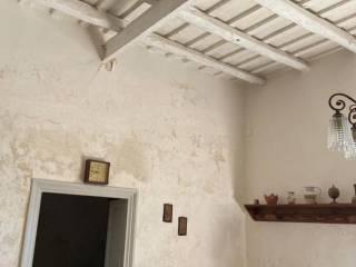 Rustico Contrada Birgi, Stagnone, Marsala — foto 9 di 19