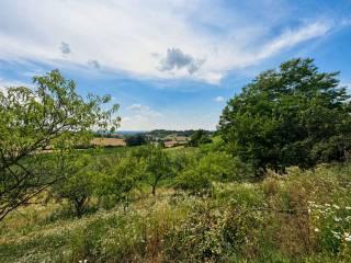 Rustico via Roma, Centro, Celle Enomondo — foto 6 di 14
