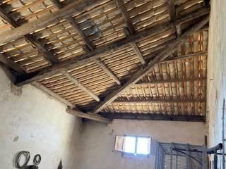 Rustico Contrada Birgi, Stagnone, Marsala — foto 4 di 19