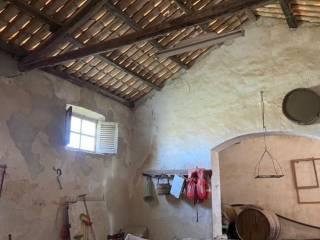 Rustico Contrada Birgi, Stagnone, Marsala — foto 8 di 19