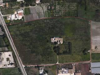 Rustico Contrada Birgi, Stagnone, Marsala — foto 11 di 19