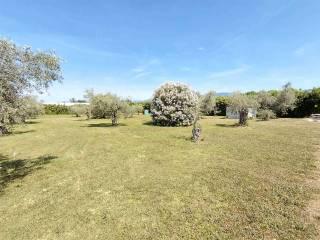 Terratetto unifamiliare 90 m², nuova, Centro, Sarzana — foto 4 di 14