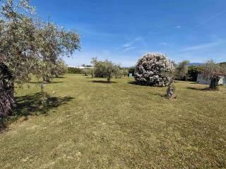 Terratetto unifamiliare 90 m², nuova, Centro, Sarzana — foto 13 di 14