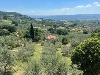 Villa unifamiliare piazza Duomo, Centro, Orvieto — foto 27 di 29