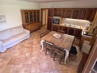 Villa bifamiliare viale Apua 185, Pietrasanta — foto 2 di 17