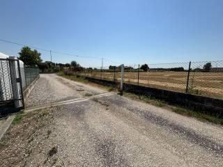 Villa unifamiliare via Ca' di Dio, Cerea — foto 9 di 33