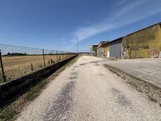 Villa unifamiliare via Ca' di Dio, Cerea — foto 17 di 33