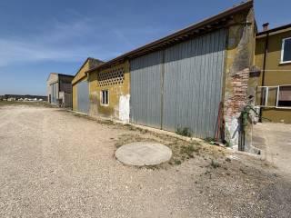 Villa unifamiliare via Ca' di Dio, Cerea — foto 24 di 33
