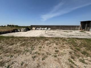 Villa unifamiliare via Ca' di Dio, Cerea — foto 20 di 33