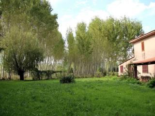 Casale, da ristrutturare, 300 m², Giardoni, Limatola — foto 24 di 35