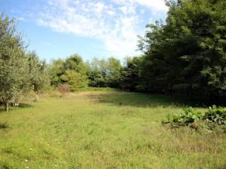 Casale, da ristrutturare, 300 m², Giardoni, Limatola — foto 20 di 35