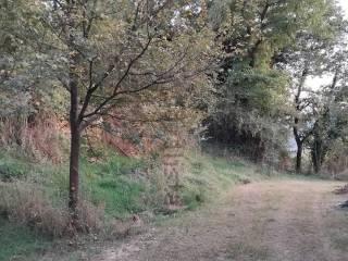 Casale Strada dei Piani, Giove — foto 31 di 42
