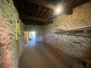 Villa unifamiliare Valdipino No Number, Valdipino, Riccò del Golfo di Spezia — foto 28 di 30
