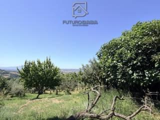Terratetto unifamiliare Contrada Santa Lucia, Apice — foto 27 di 29
